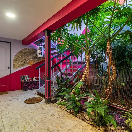 Welcome to... Casa Maguey.-2